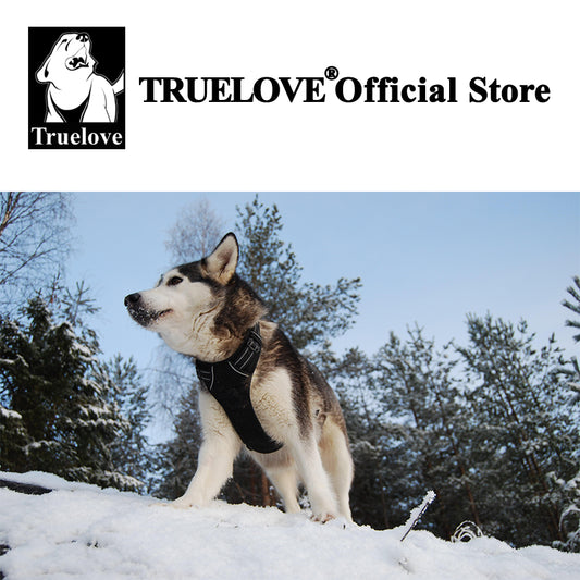 Truelove Front Range pettorina per cani di grandi dimensioni in Nylon